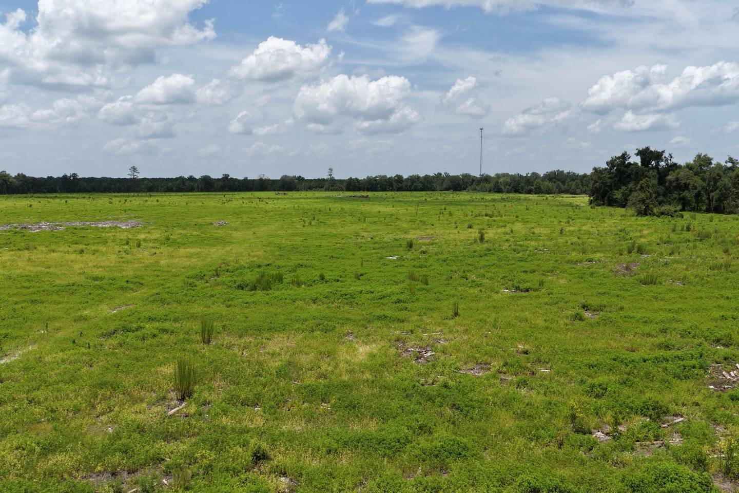 Vacant 161st Road, Live Oak, FL 32060