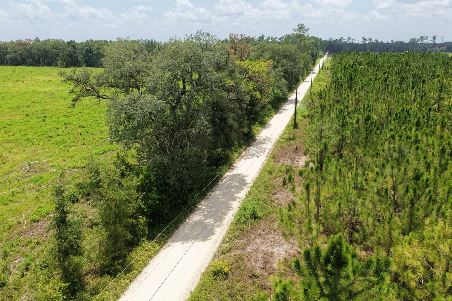 Vacant 161st Road, Live Oak, FL 32060