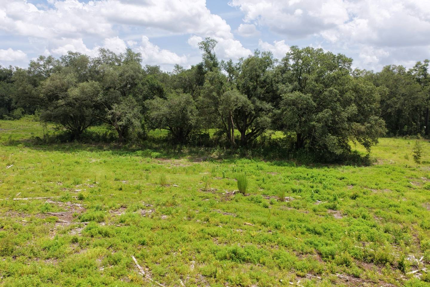 Vacant 161st Road, Live Oak, FL 32060