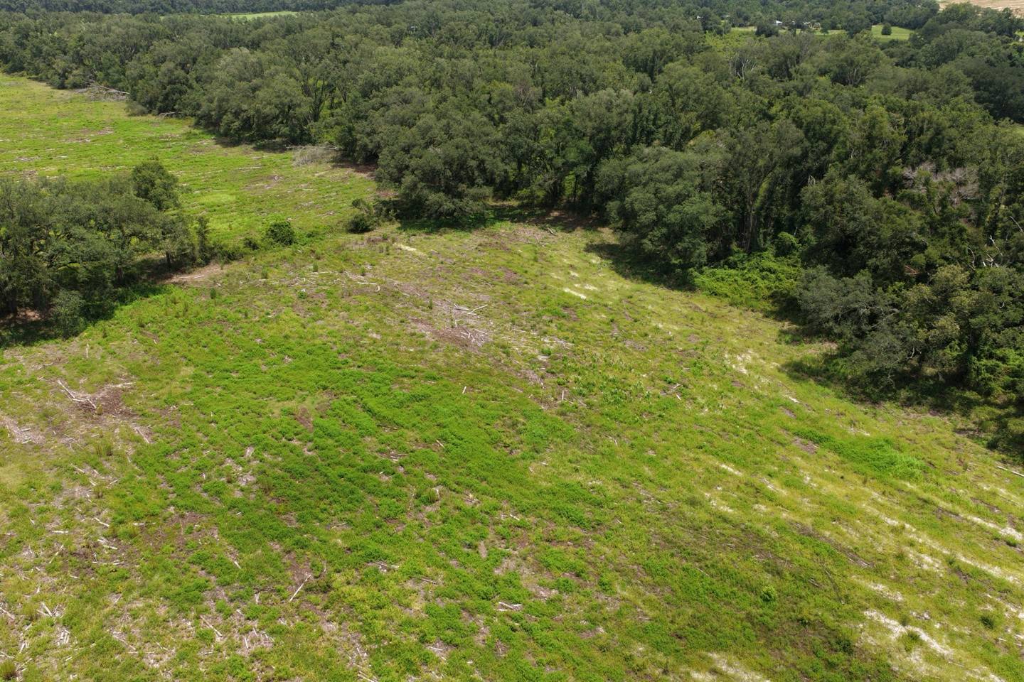Vacant 161st Road, Live Oak, FL 32060