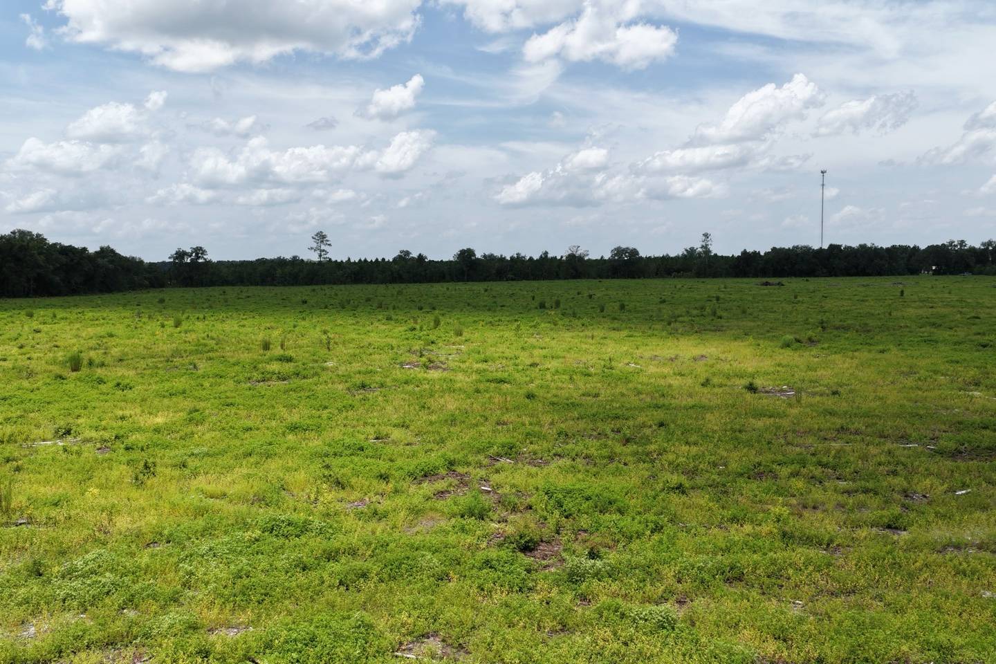 Vacant 161st Road, Live Oak, FL 32060
