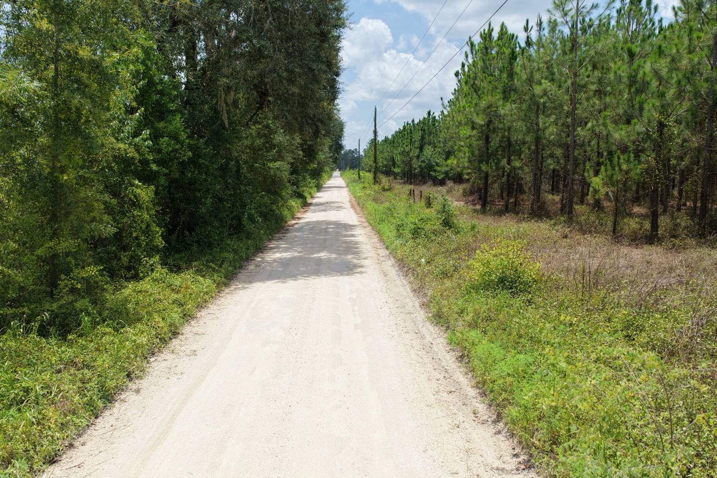 Vacant 161st Road, Live Oak, FL 32060