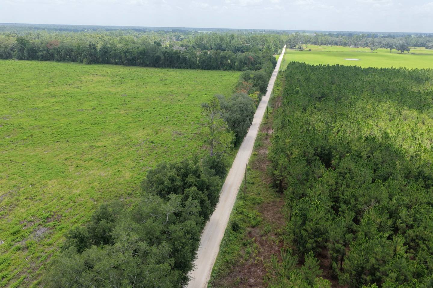 Vacant 161st Road, Live Oak, FL 32060
