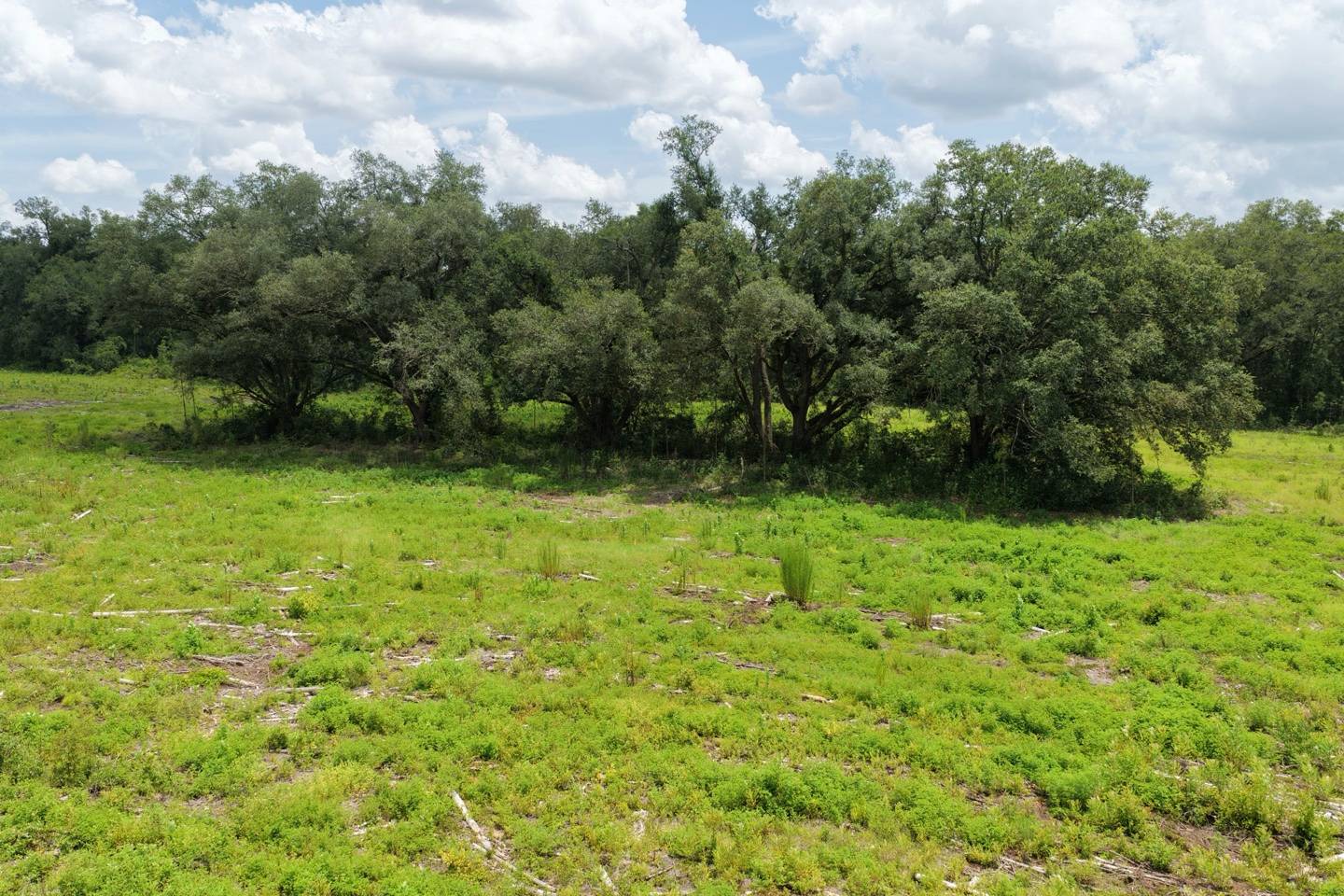 Vacant 161st Road, Live Oak, FL 32060