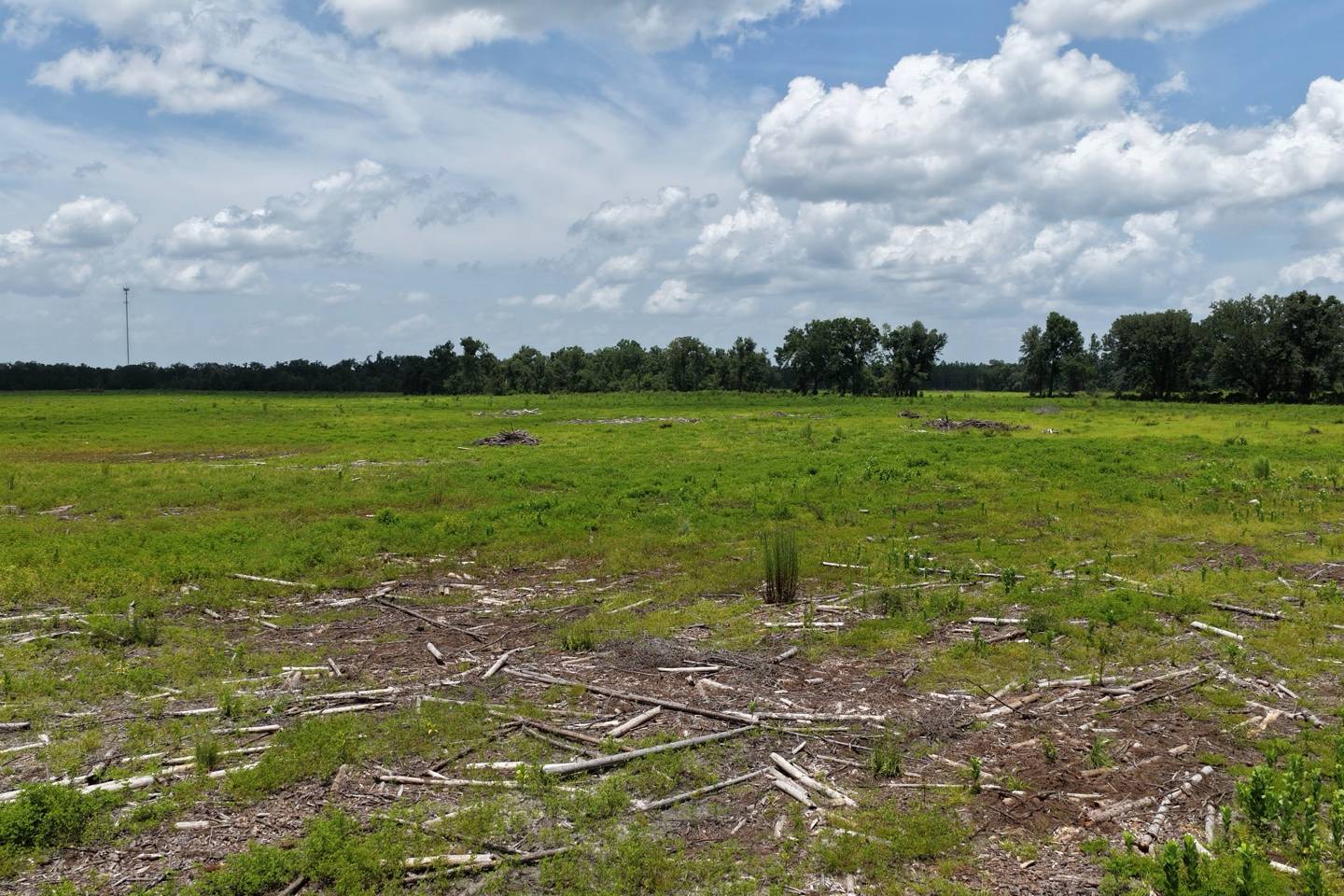 Vacant 161st Road, Live Oak, FL 32060