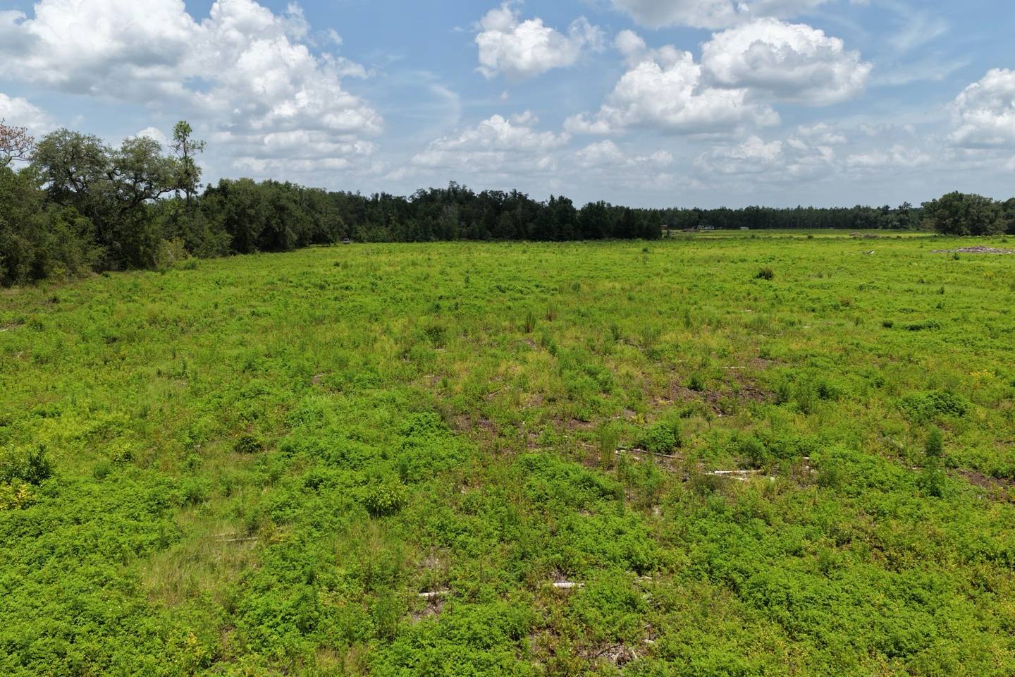 Vacant 161st Road, Live Oak, FL 32060