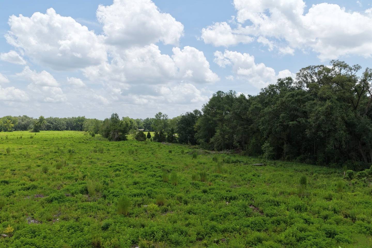 Vacant 161st Road, Live Oak, FL 32060
