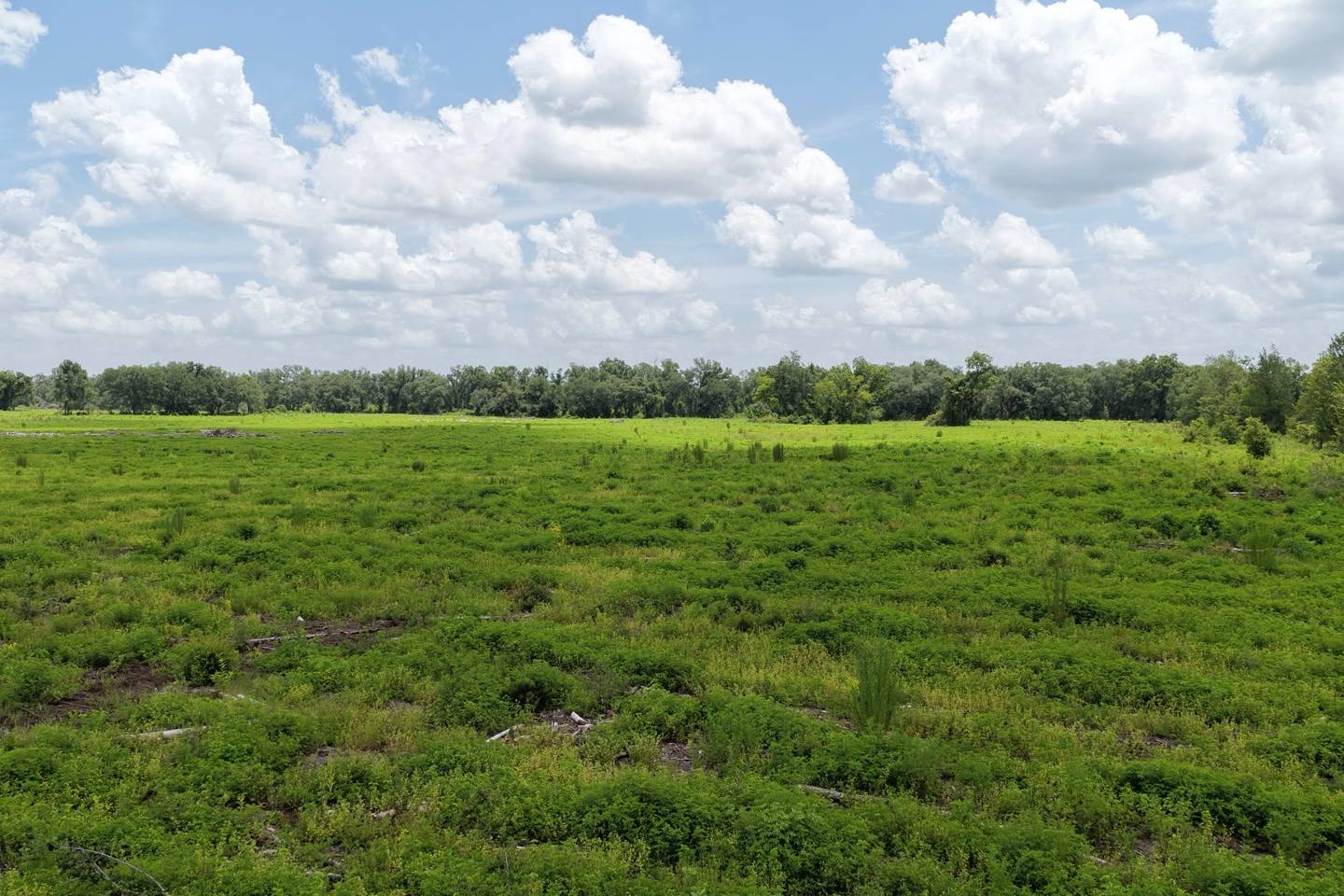 Vacant 161st Road, Live Oak, FL 32060