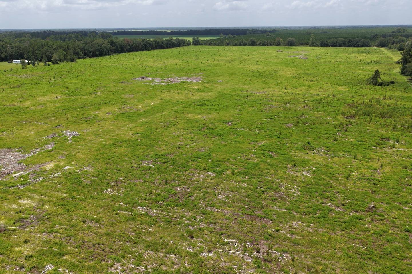Vacant 161st Road, Live Oak, FL 32060
