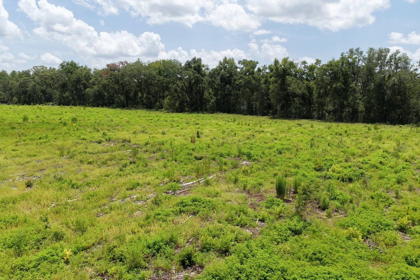Vacant 161st Road, Live Oak, FL 32060