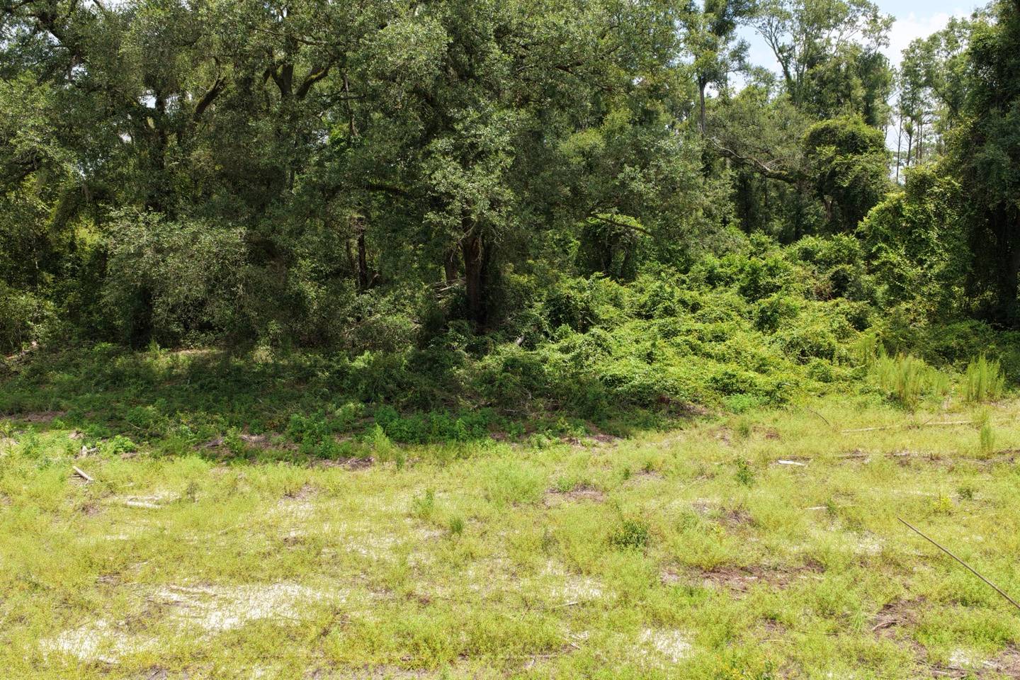 Vacant 161st Road, Live Oak, FL 32060