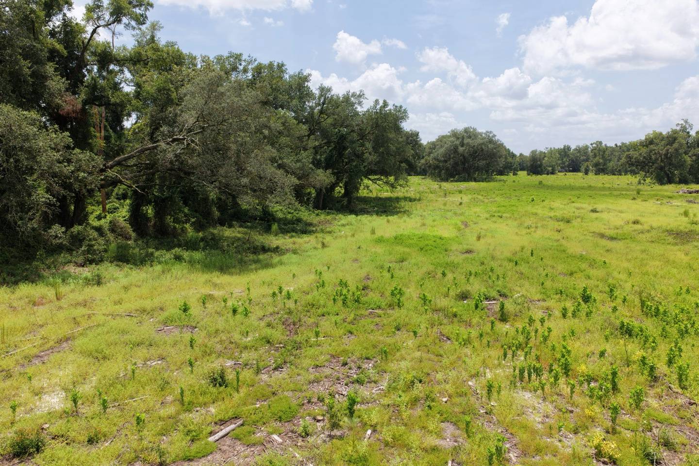 Vacant 161st Road, Live Oak, FL 32060