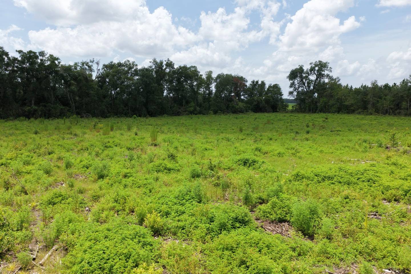 Vacant 161st Road, Live Oak, FL 32060