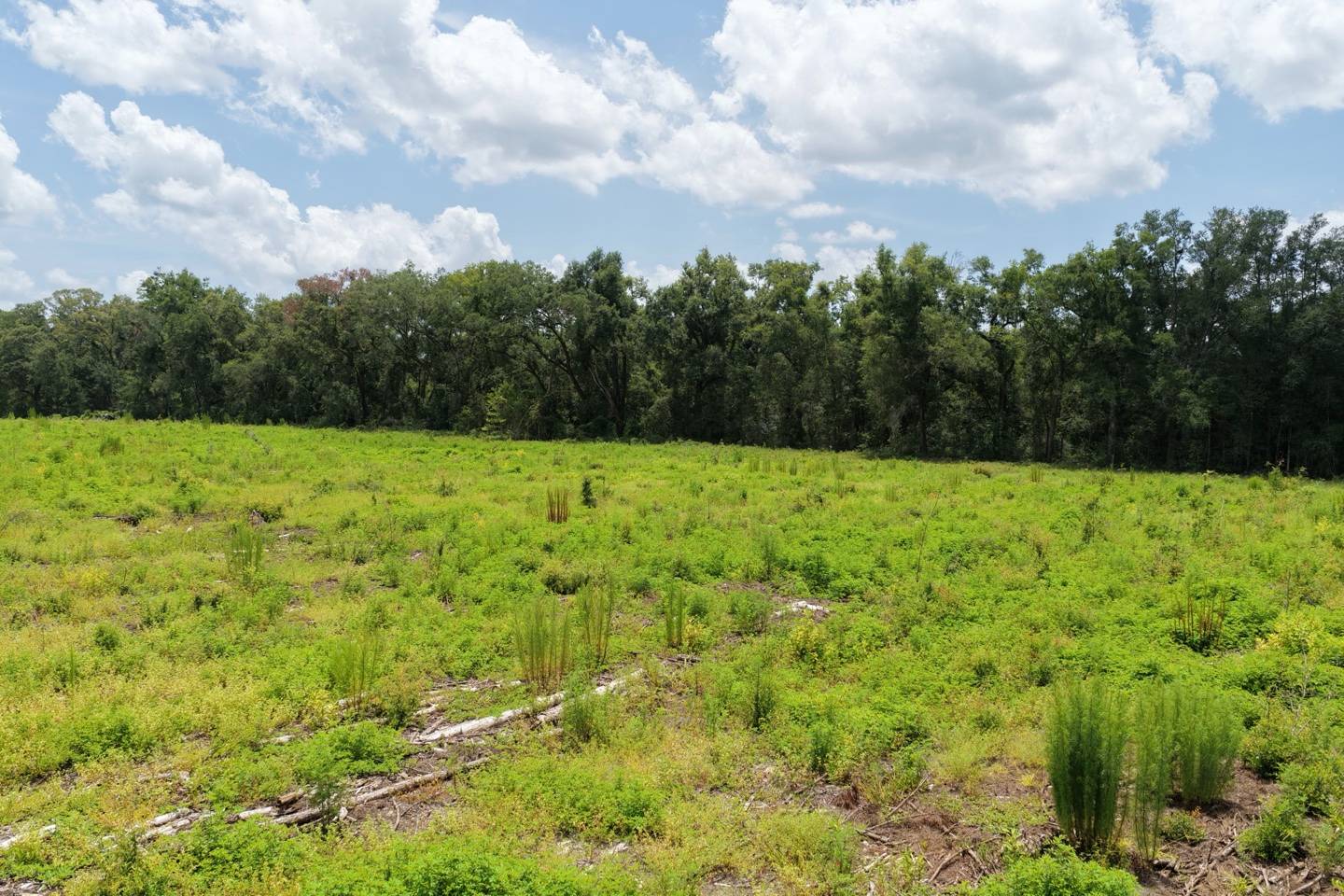 Vacant 161st Road, Live Oak, FL 32060