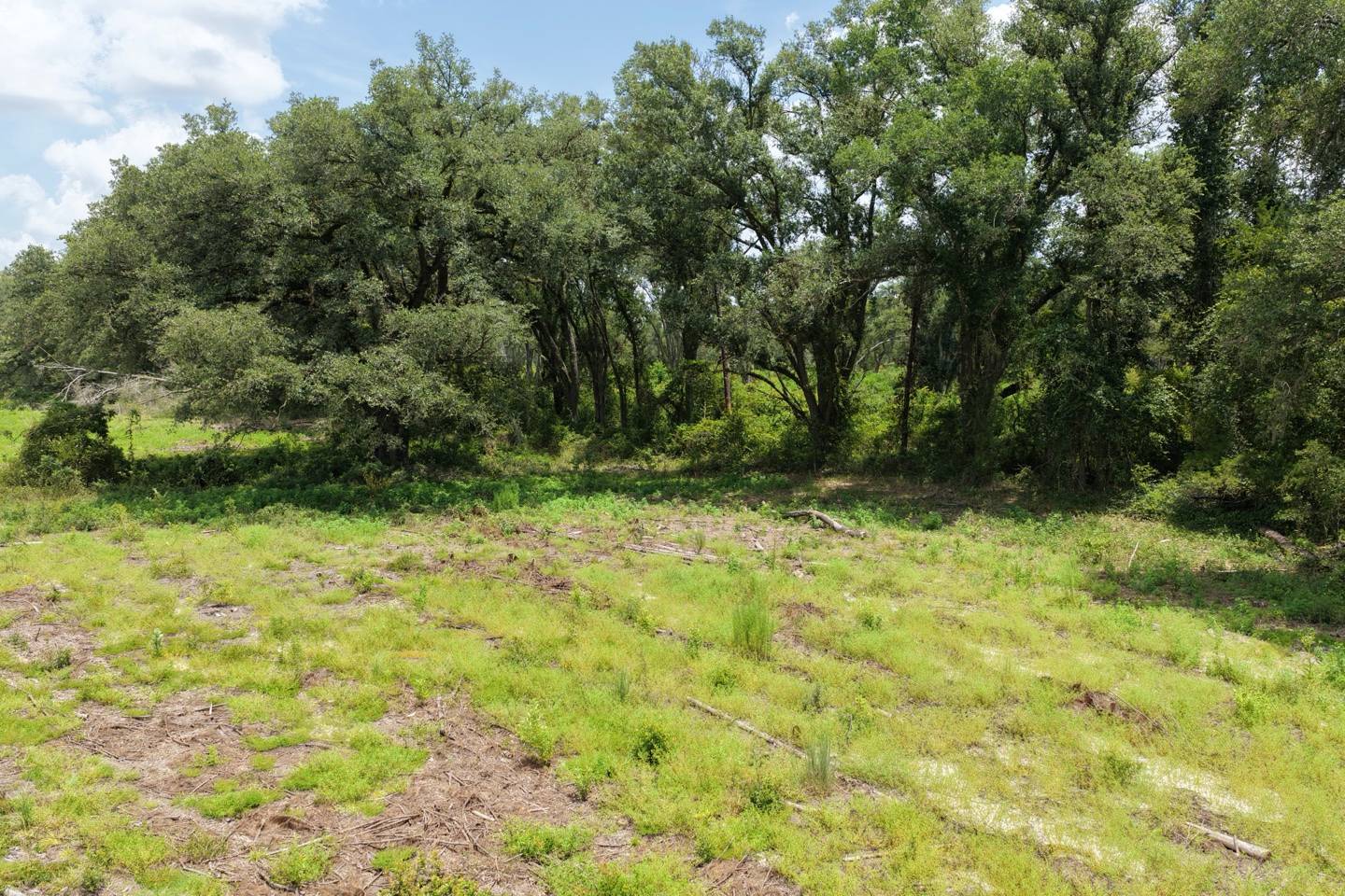 Vacant 161st Road, Live Oak, FL 32060
