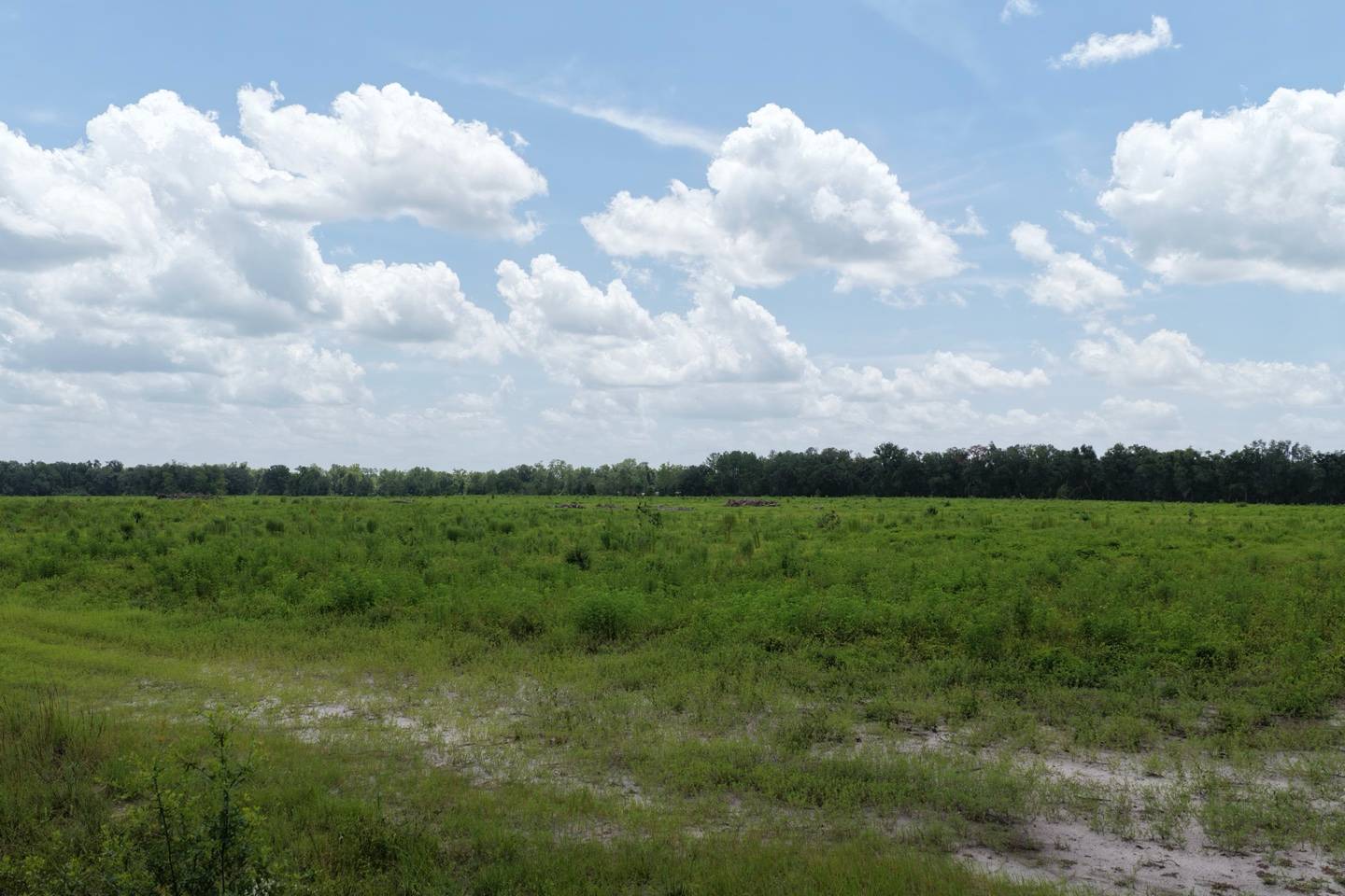 Vacant 161st Road, Live Oak, FL 32060