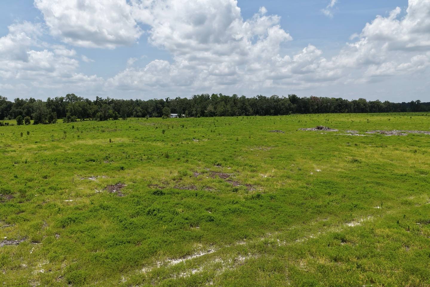 Vacant 161st Road, Live Oak, FL 32060