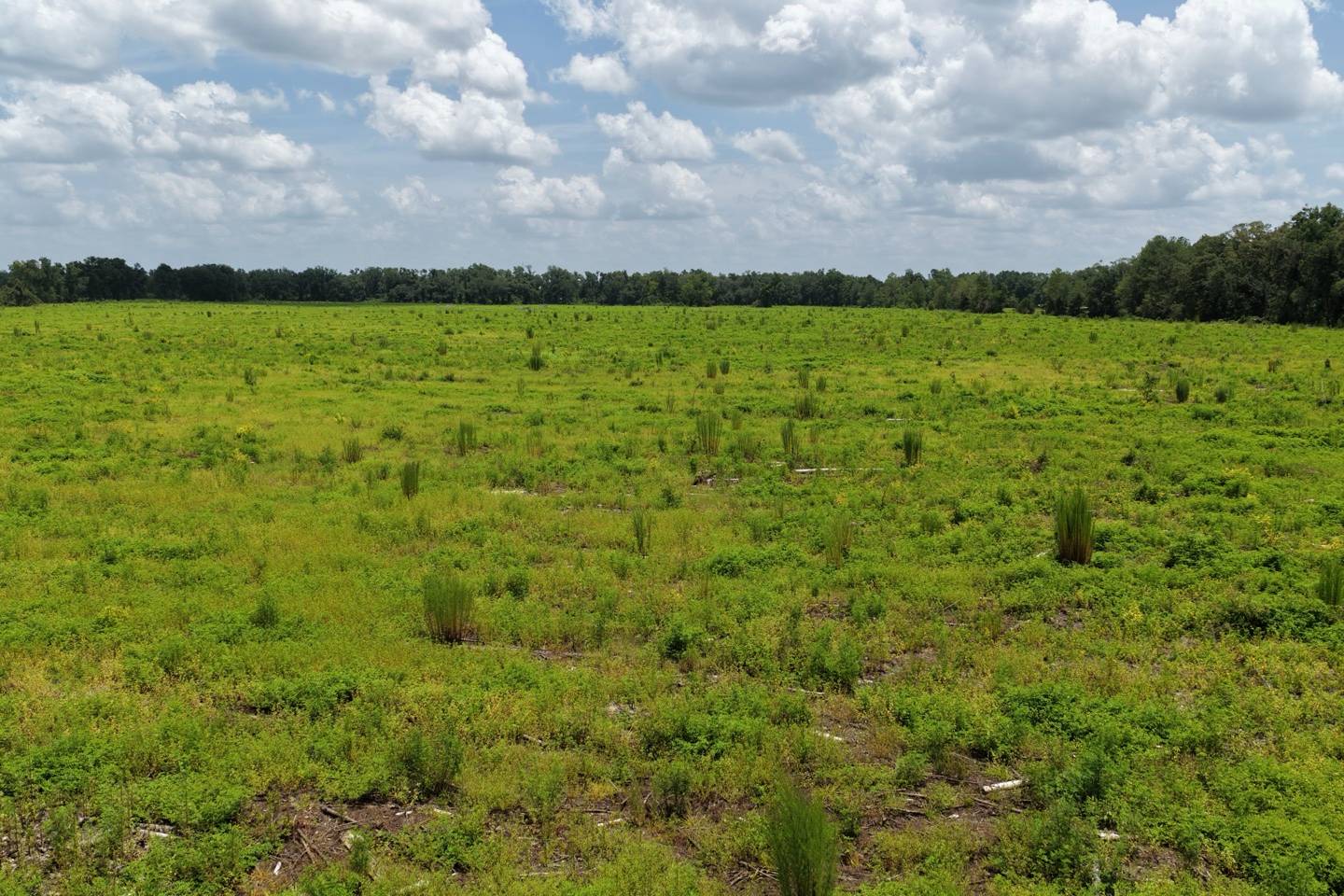 Vacant 161st Road, Live Oak, FL 32060