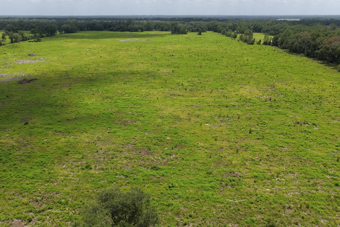 Vacant 161st Road, Live Oak, FL 32060