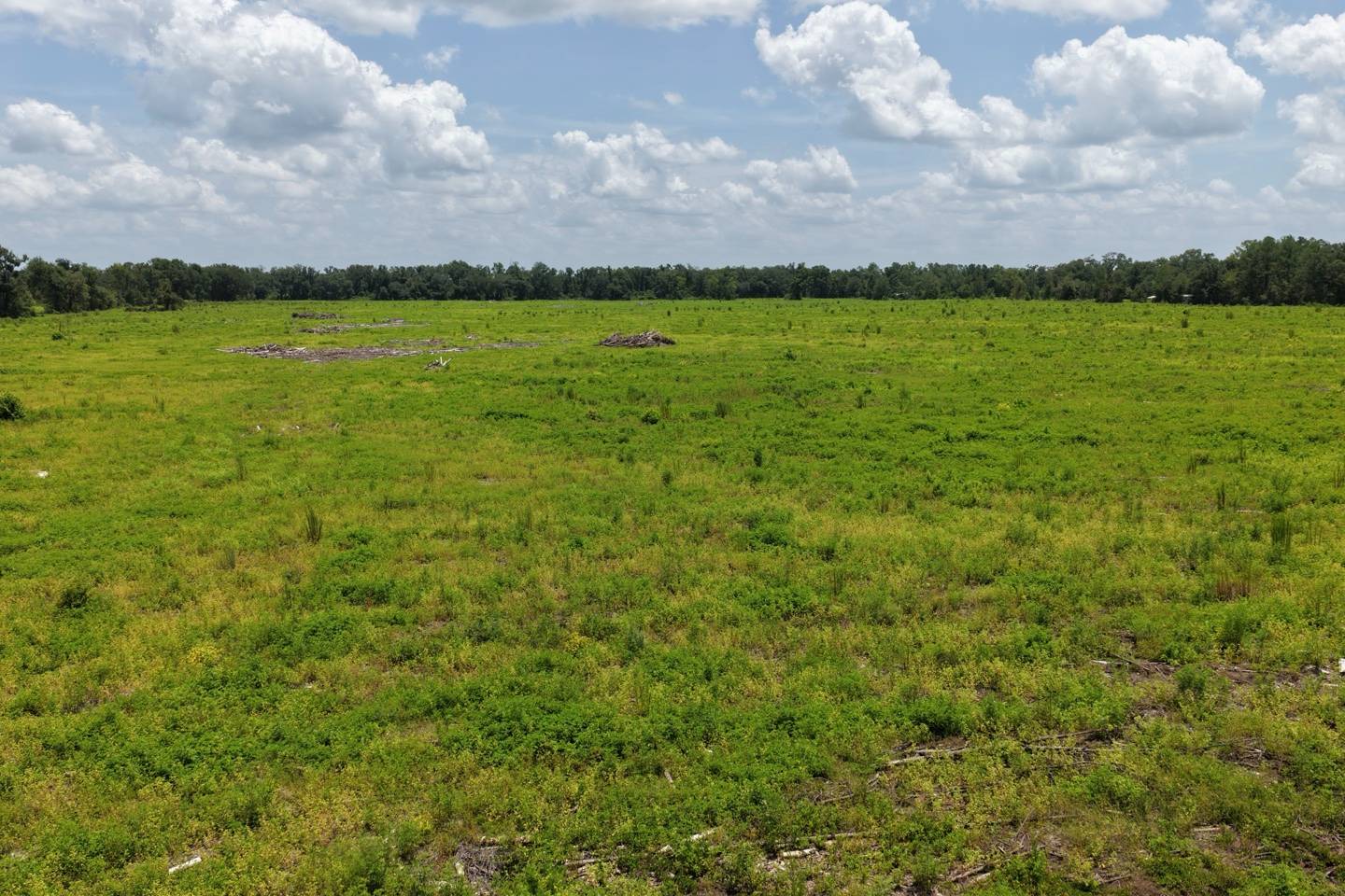 Vacant 161st Road, Live Oak, FL 32060
