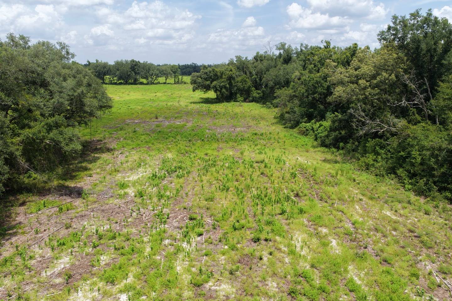 Vacant 161st Road, Live Oak, FL 32060