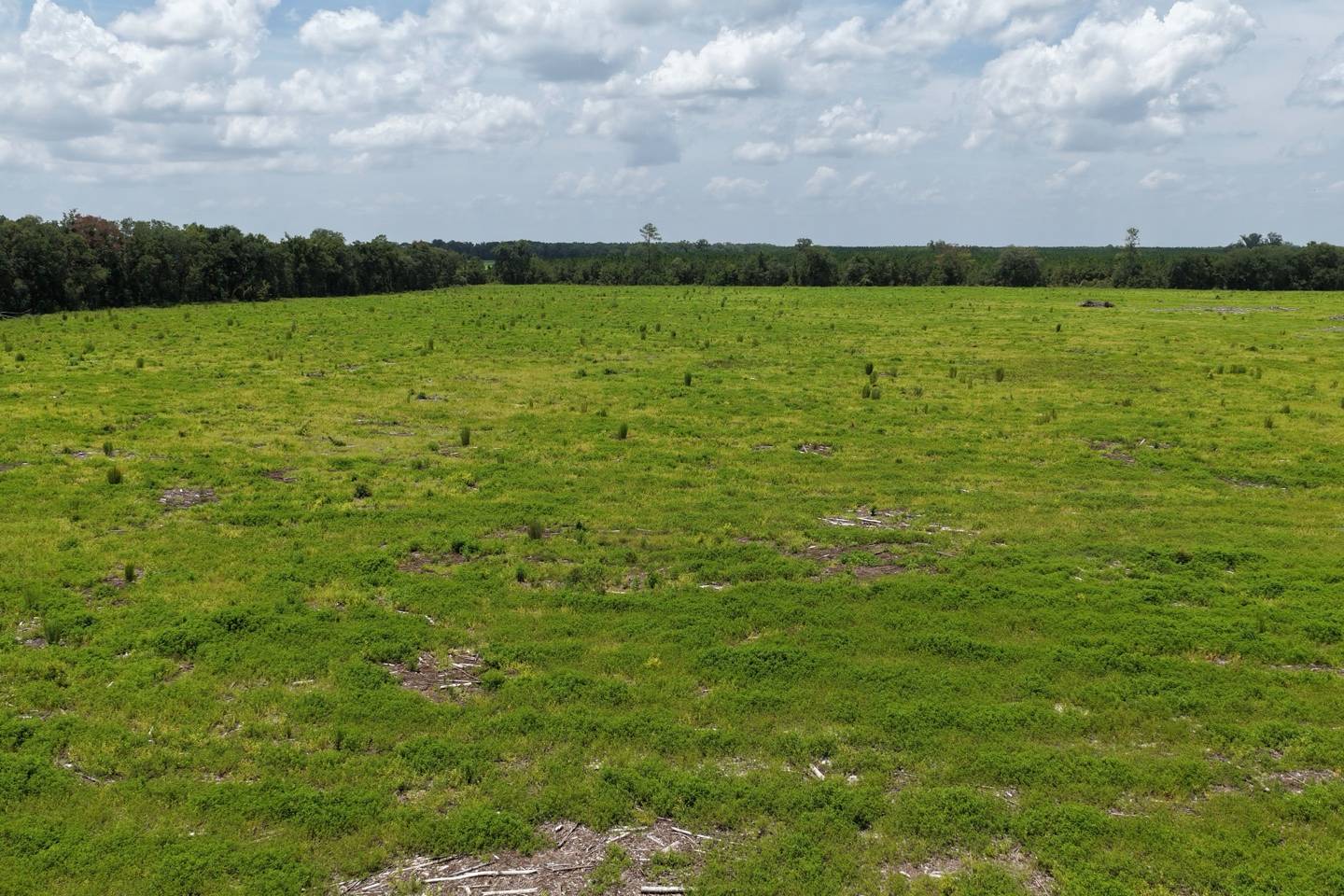 Vacant 161st Road, Live Oak, FL 32060