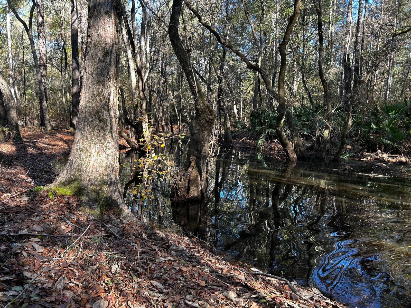 0 Fairbanks Ferry Road, Tallahassee, FL 32312