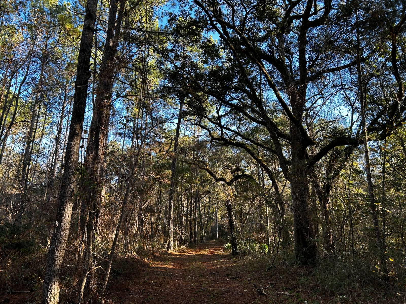 0 Fairbanks Ferry Road, Tallahassee, FL 32312
