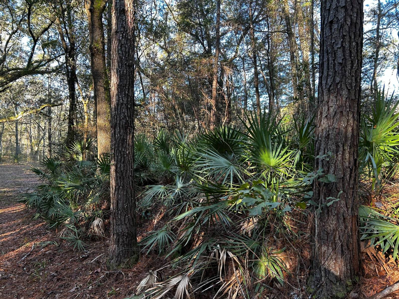 0 Fairbanks Ferry Road, Tallahassee, FL 32312