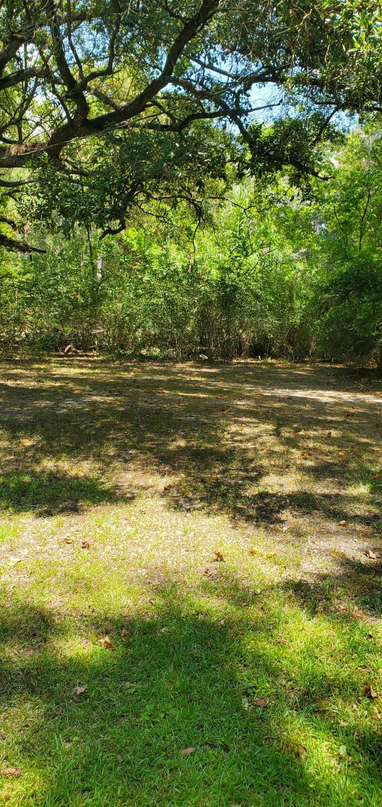 Photo 3 of 3 of land for sale at 212 C S Owens Road, Madisonville, LA 70447