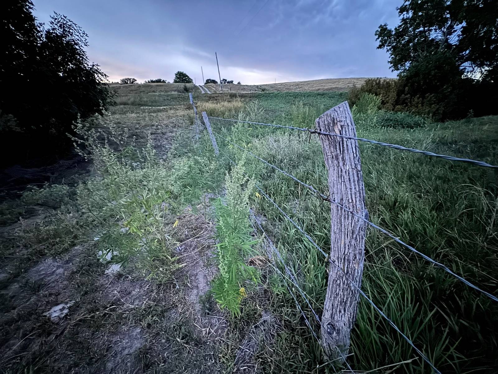 Photo 7 of 23 of land listing at TBD Middle Canyon Rd, Eustis, NE 69028