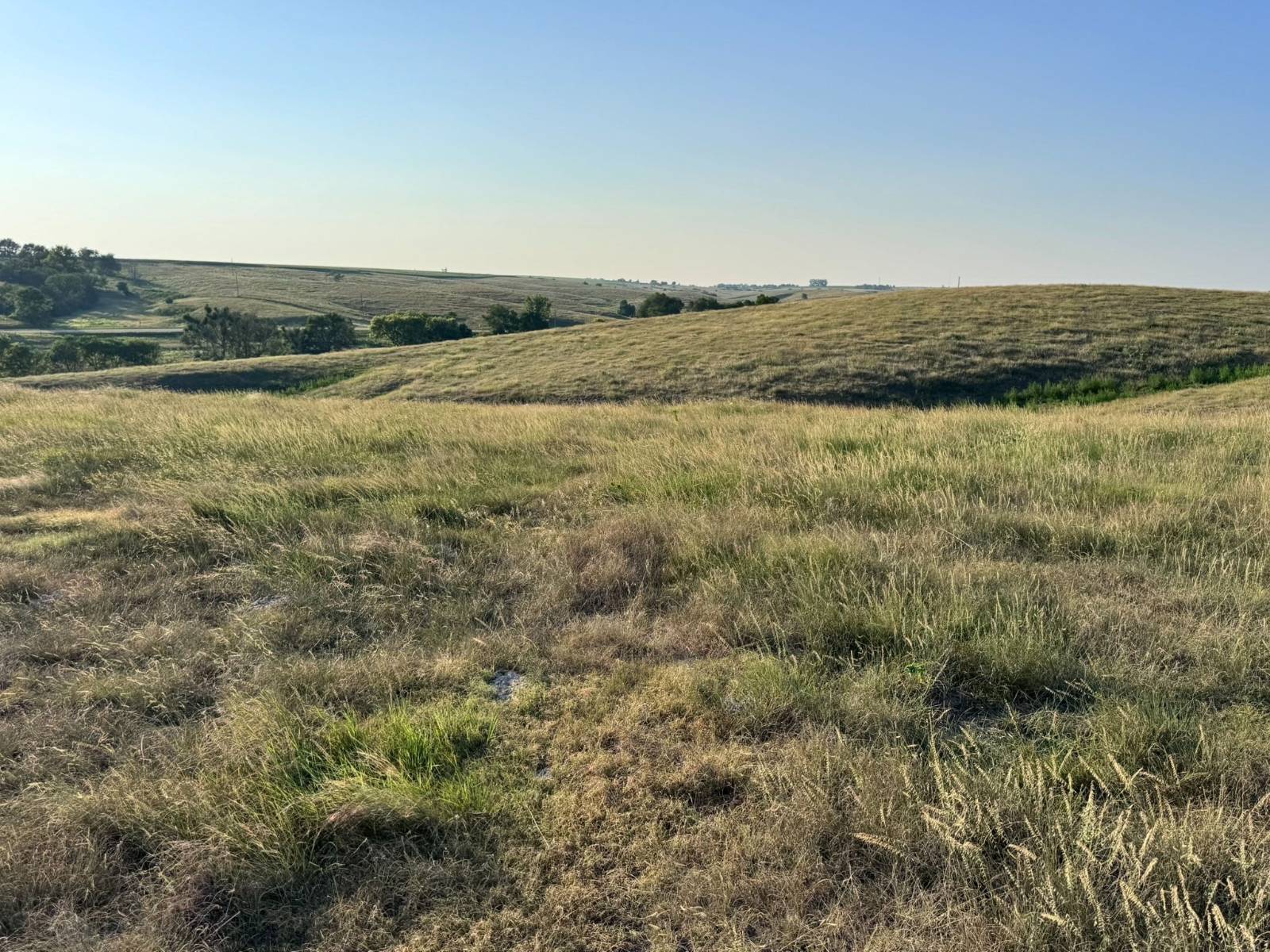Photo 11 of 23 of land listing at TBD Middle Canyon Rd, Eustis, NE 69028