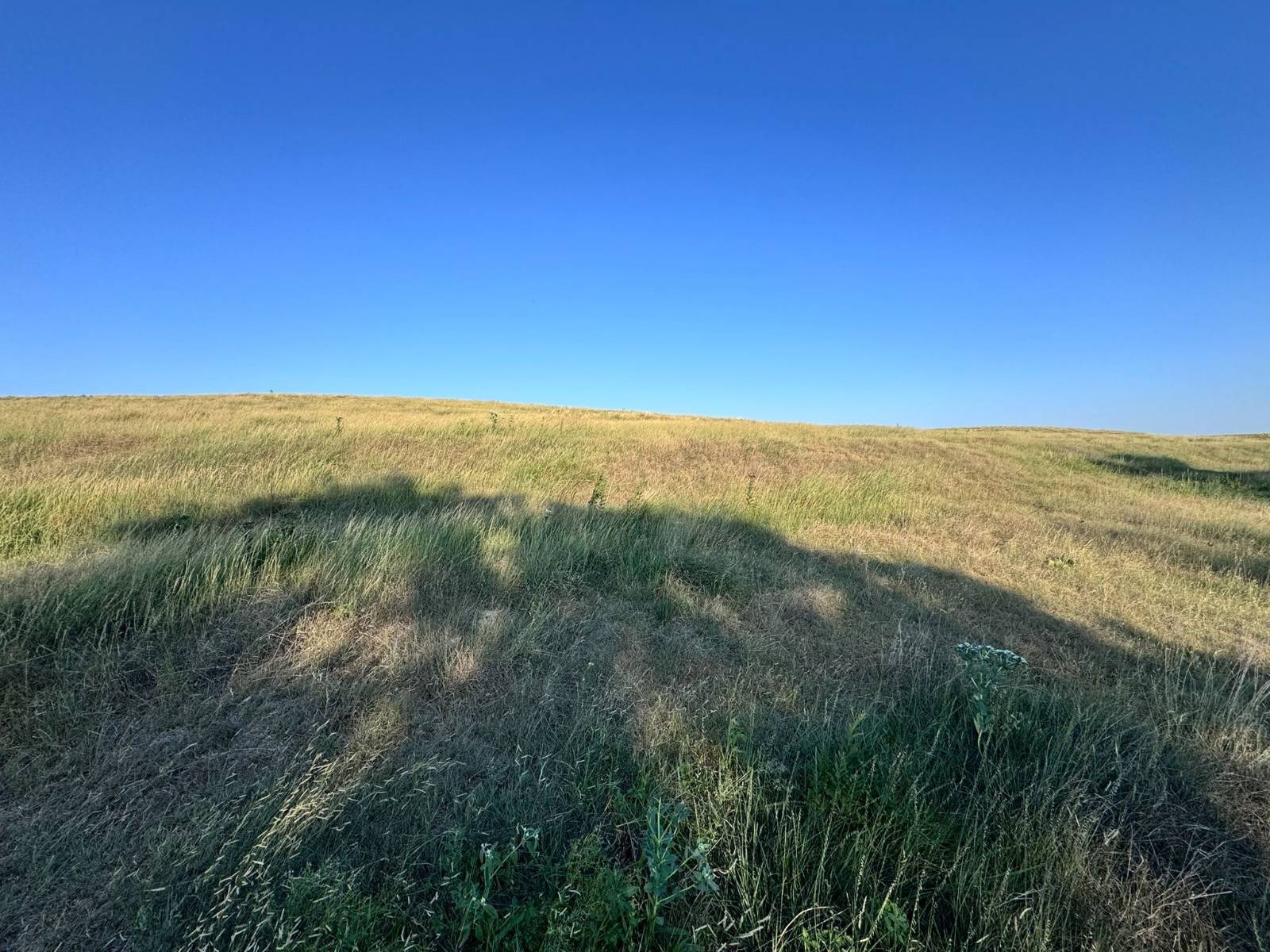 Photo 15 of 23 of land listing at TBD Middle Canyon Rd, Eustis, NE 69028