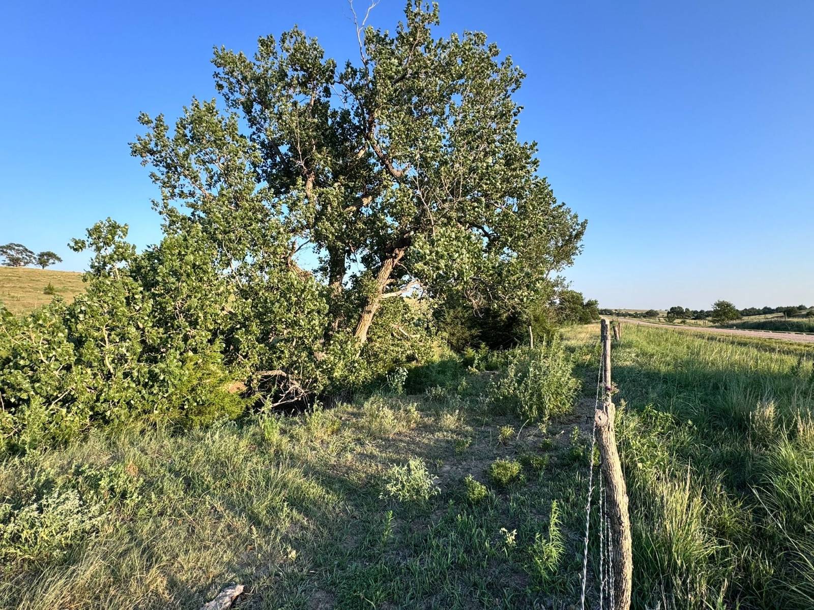 Photo 13 of 23 of land listing at TBD Middle Canyon Rd, Eustis, NE 69028