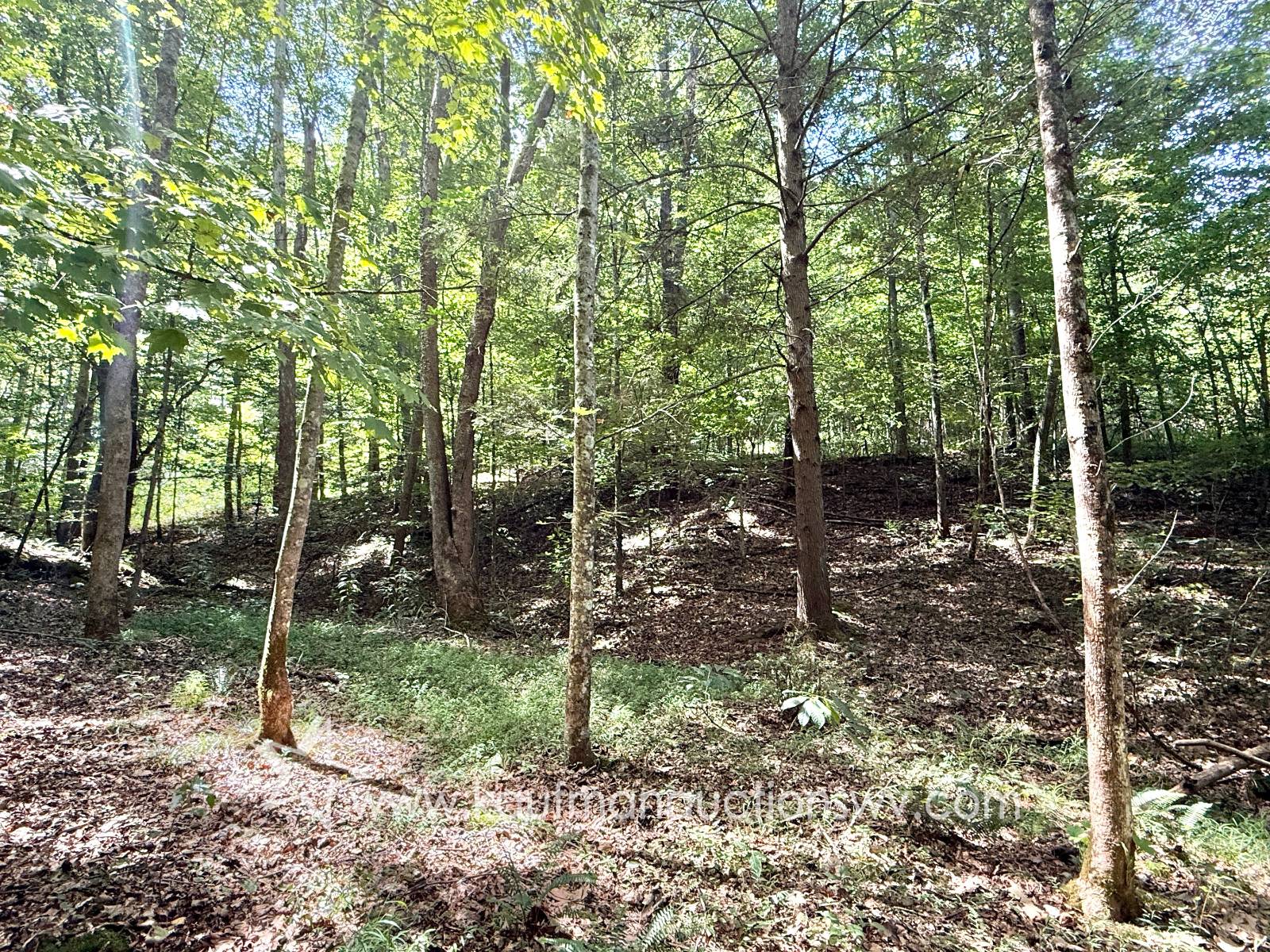 Gallery Image 26