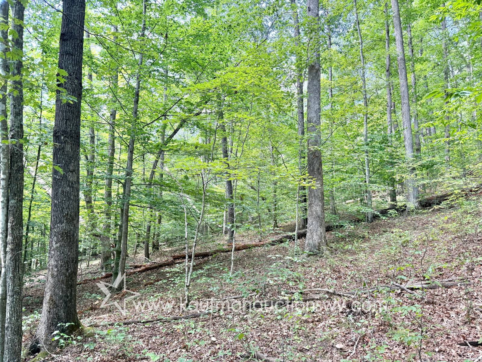 Gallery Image 35