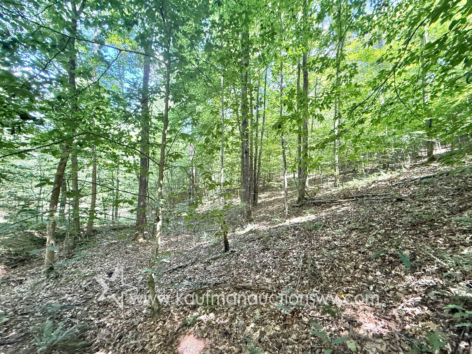 Gallery Image 28