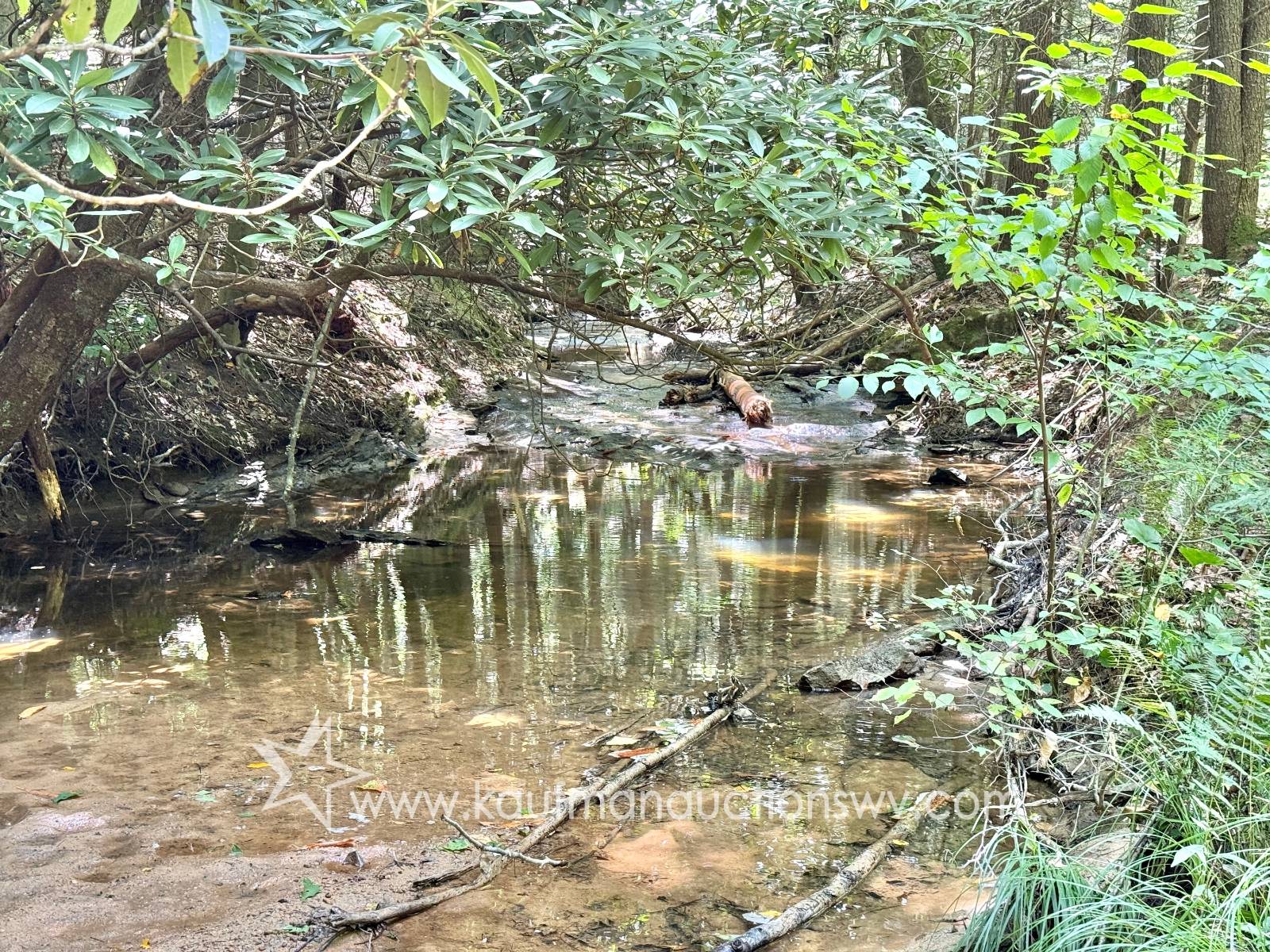 Gallery Image 13