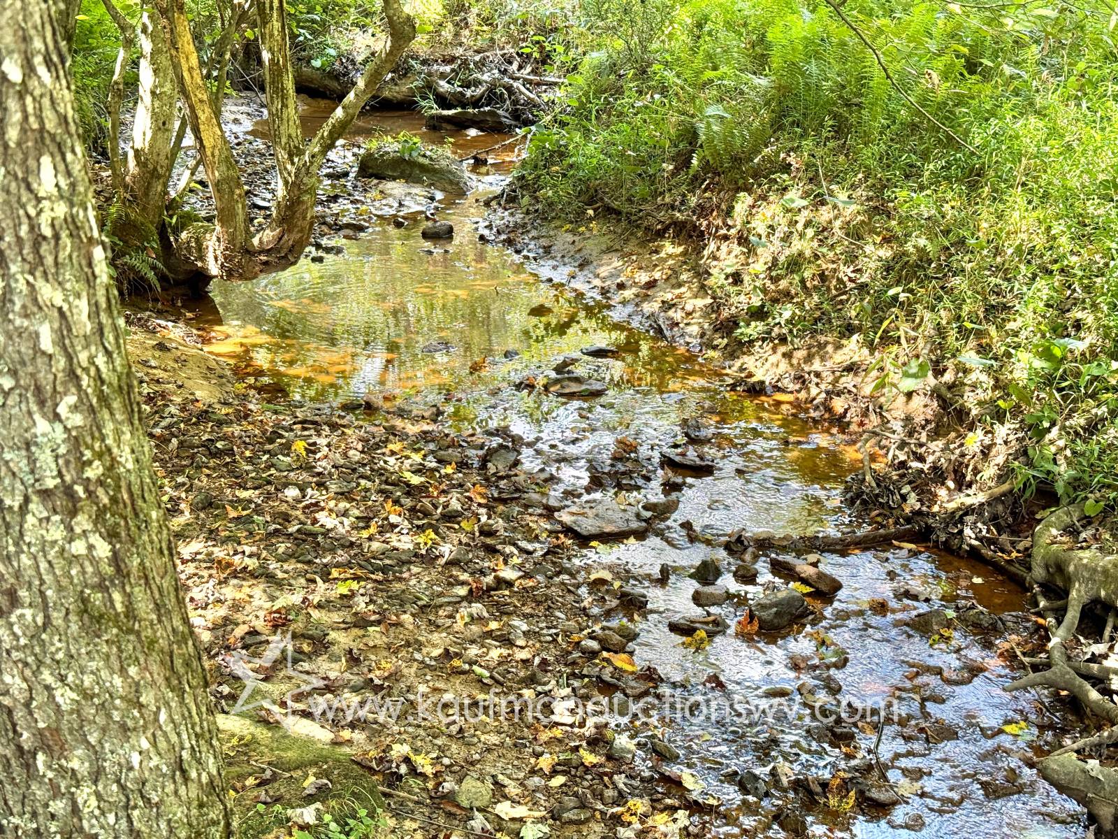 Gallery Image 57