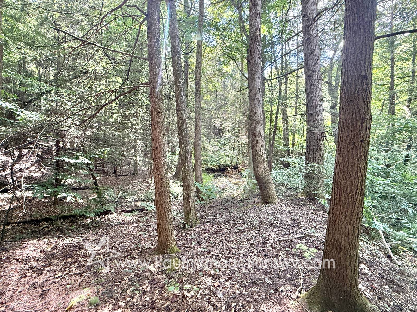 Gallery Image 16