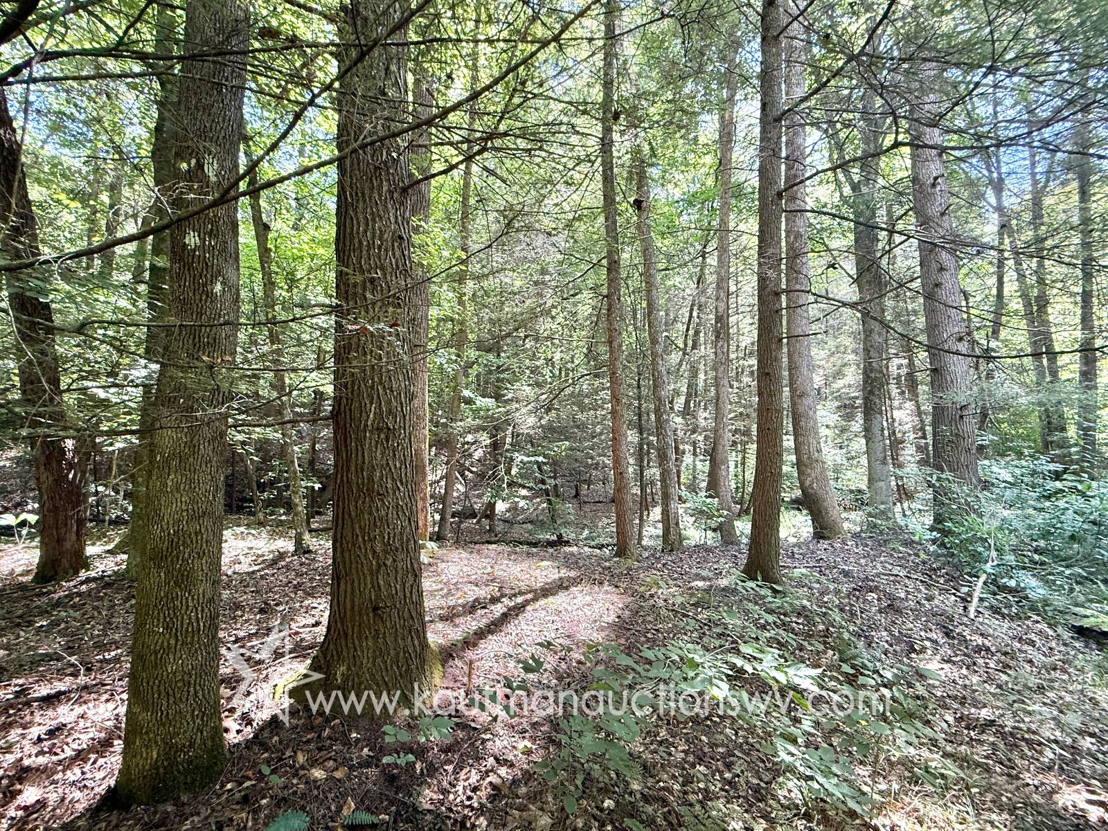 Gallery Image 15