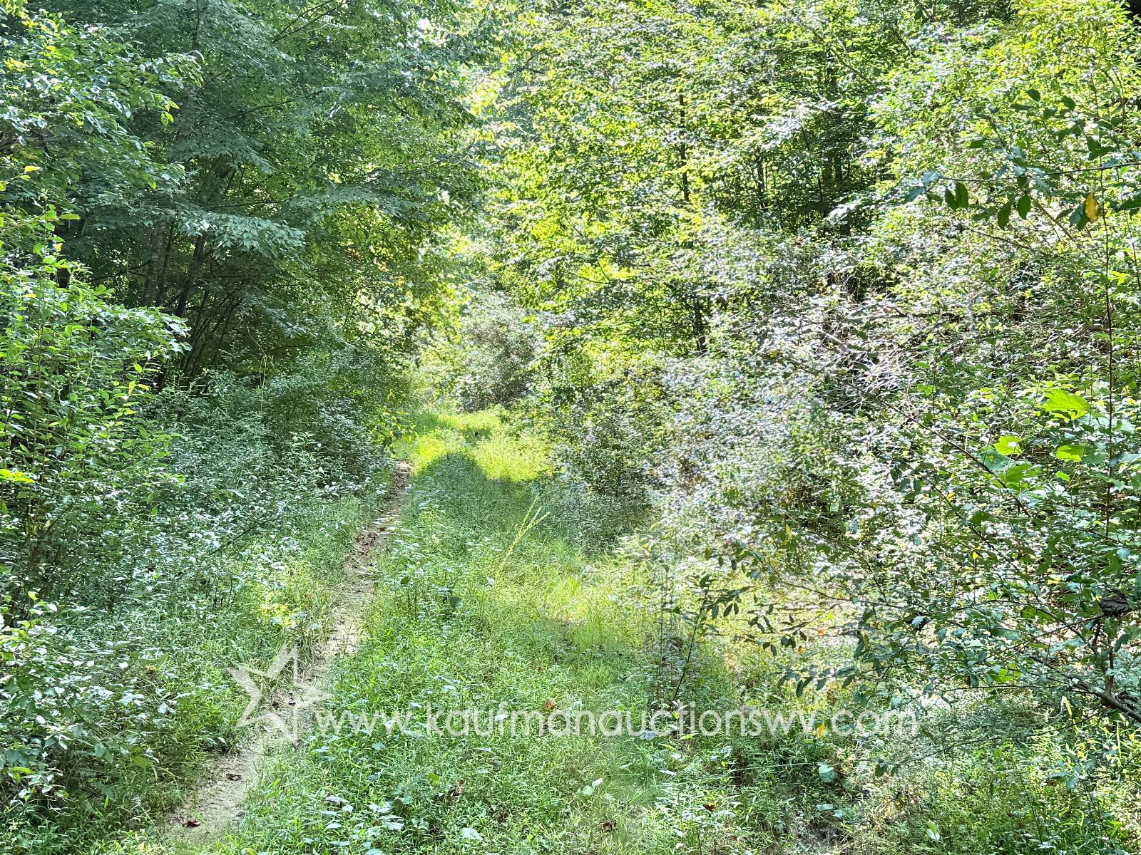 Gallery Image 11