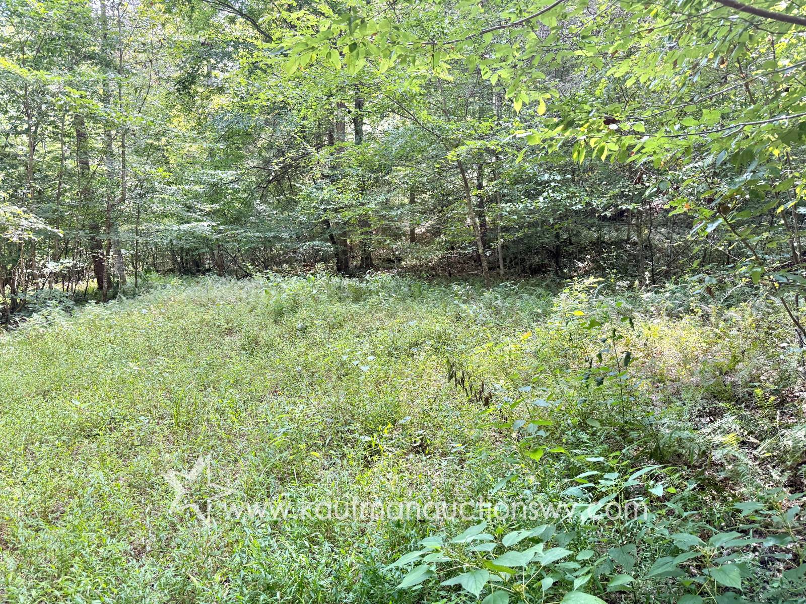 Gallery Image 19