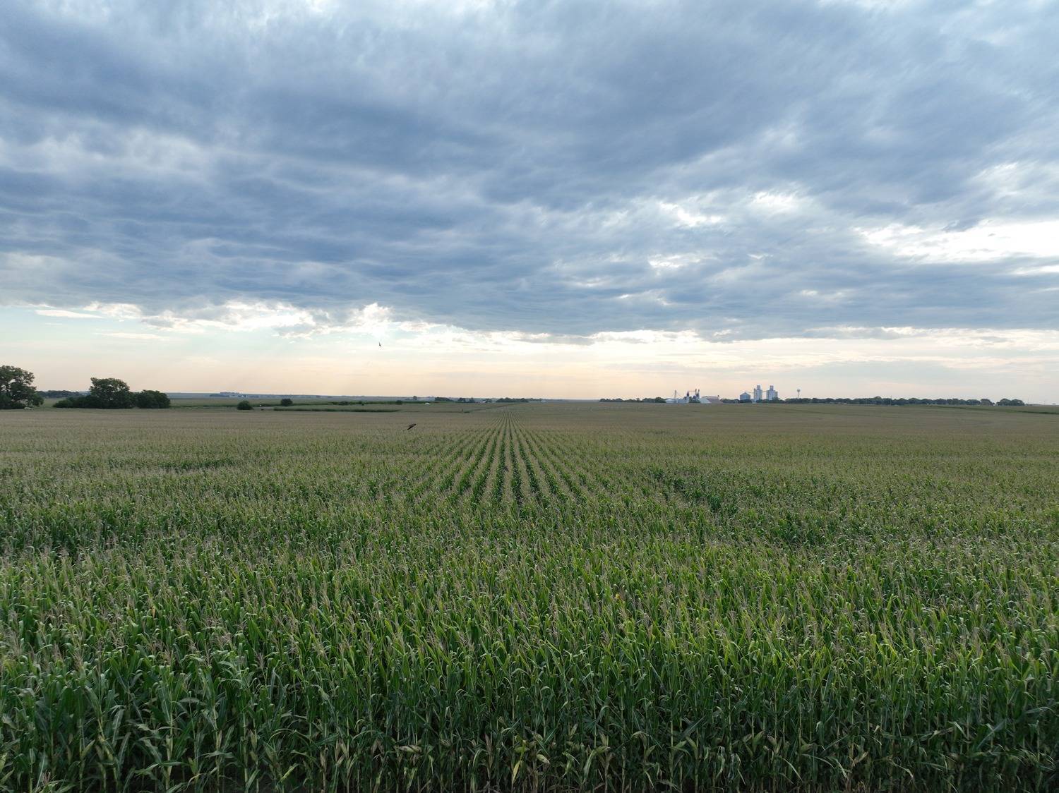 Photo 16 of 27 of land listing at 735 F Rd, Loomis, NE 68958