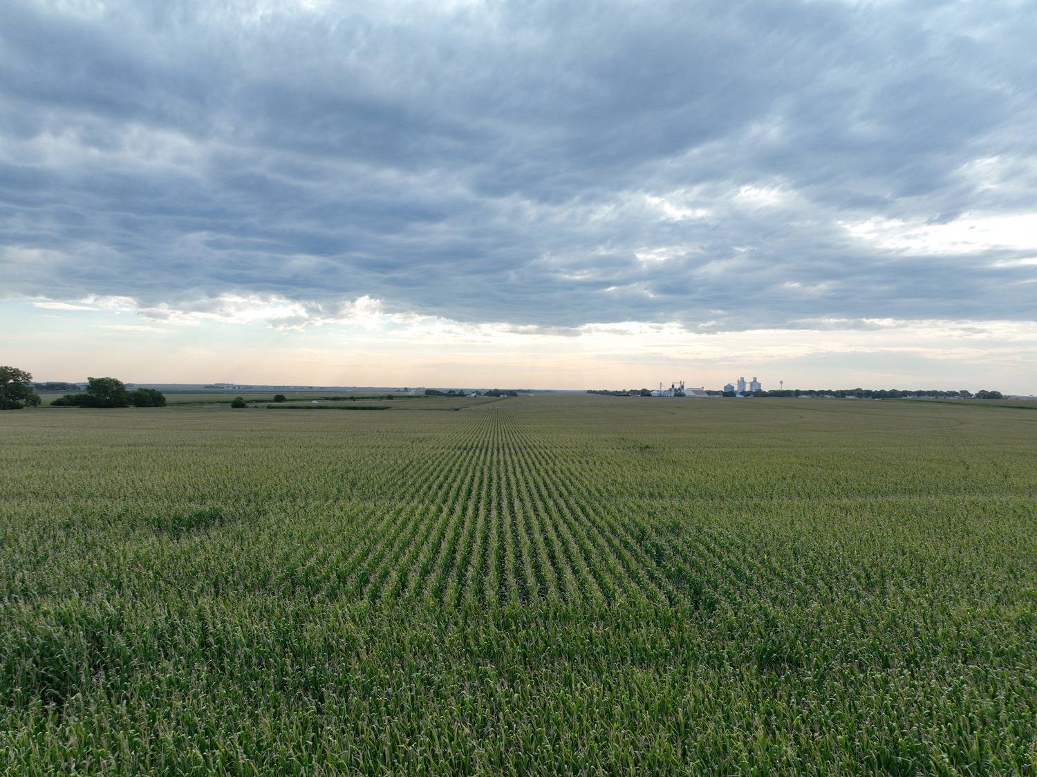 Photo 15 of 27 of land listing at 735 F Rd, Loomis, NE 68958