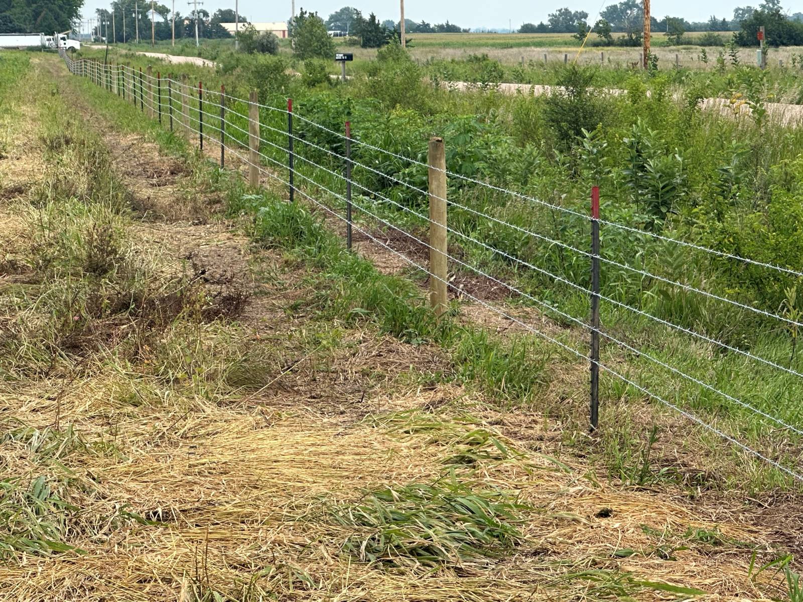 Photo 4 of 4 of land listing at 0 T Road, Central City, NE 68826