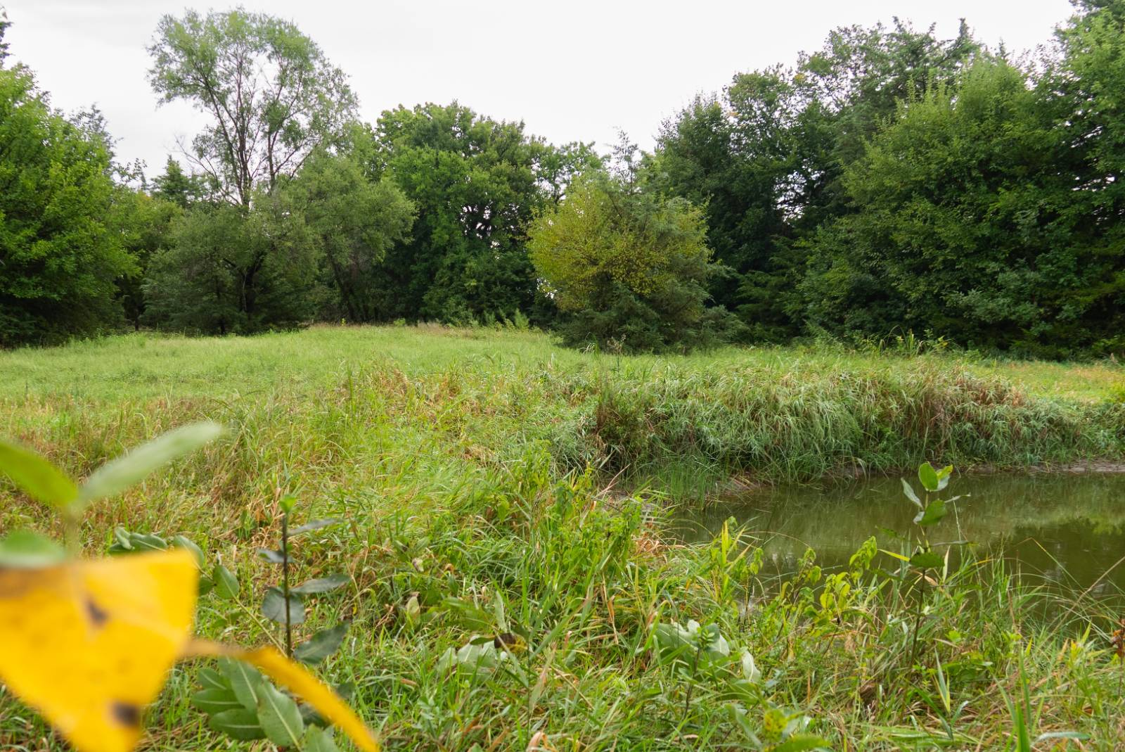 Photo 11 of 49 of farm or ranch property listing at 1007 W 21 Road, Marquette, NE 68854