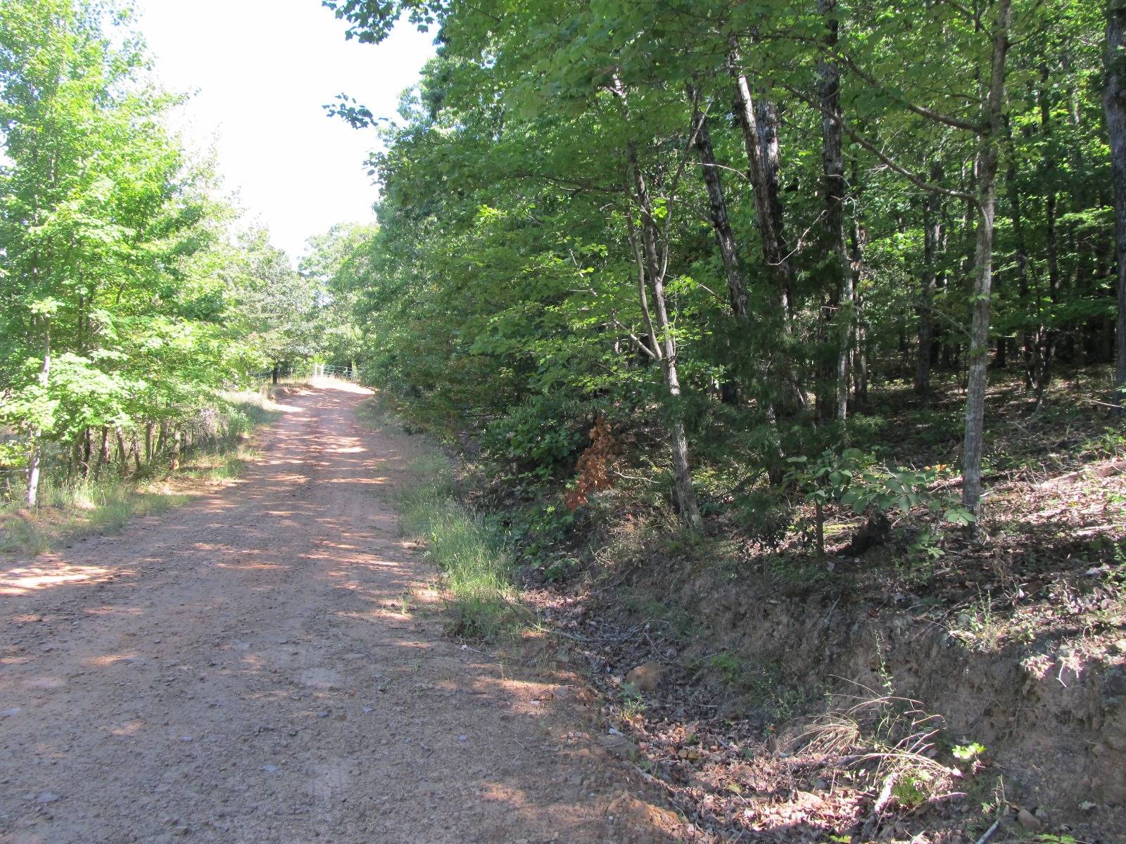12-Acre Hunting Land for Sale, Madison County, AR, photo 3 of 13