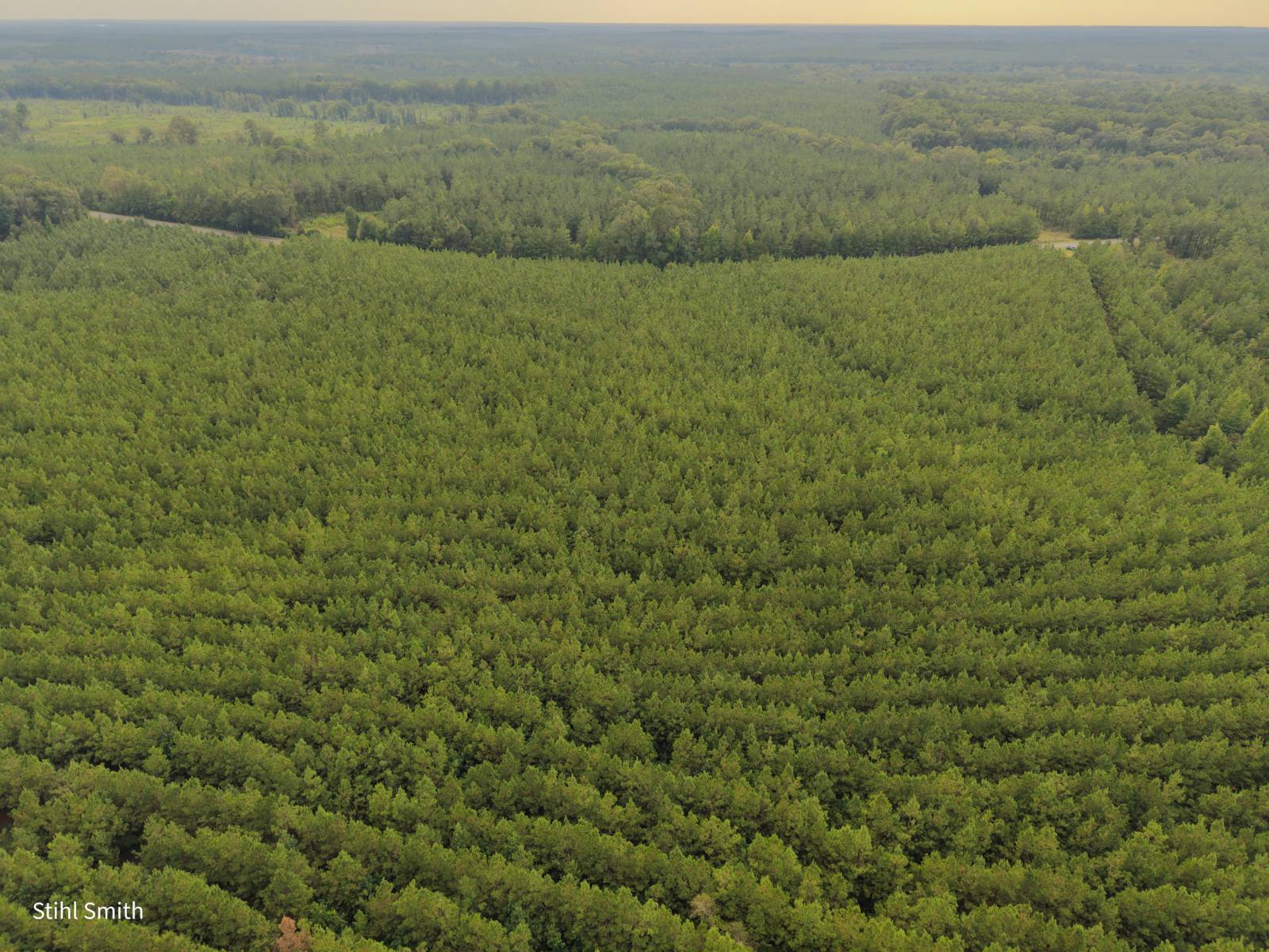Photo 5 of 10 of land for sale at 000 T.B.D., Sikes, LA 71473