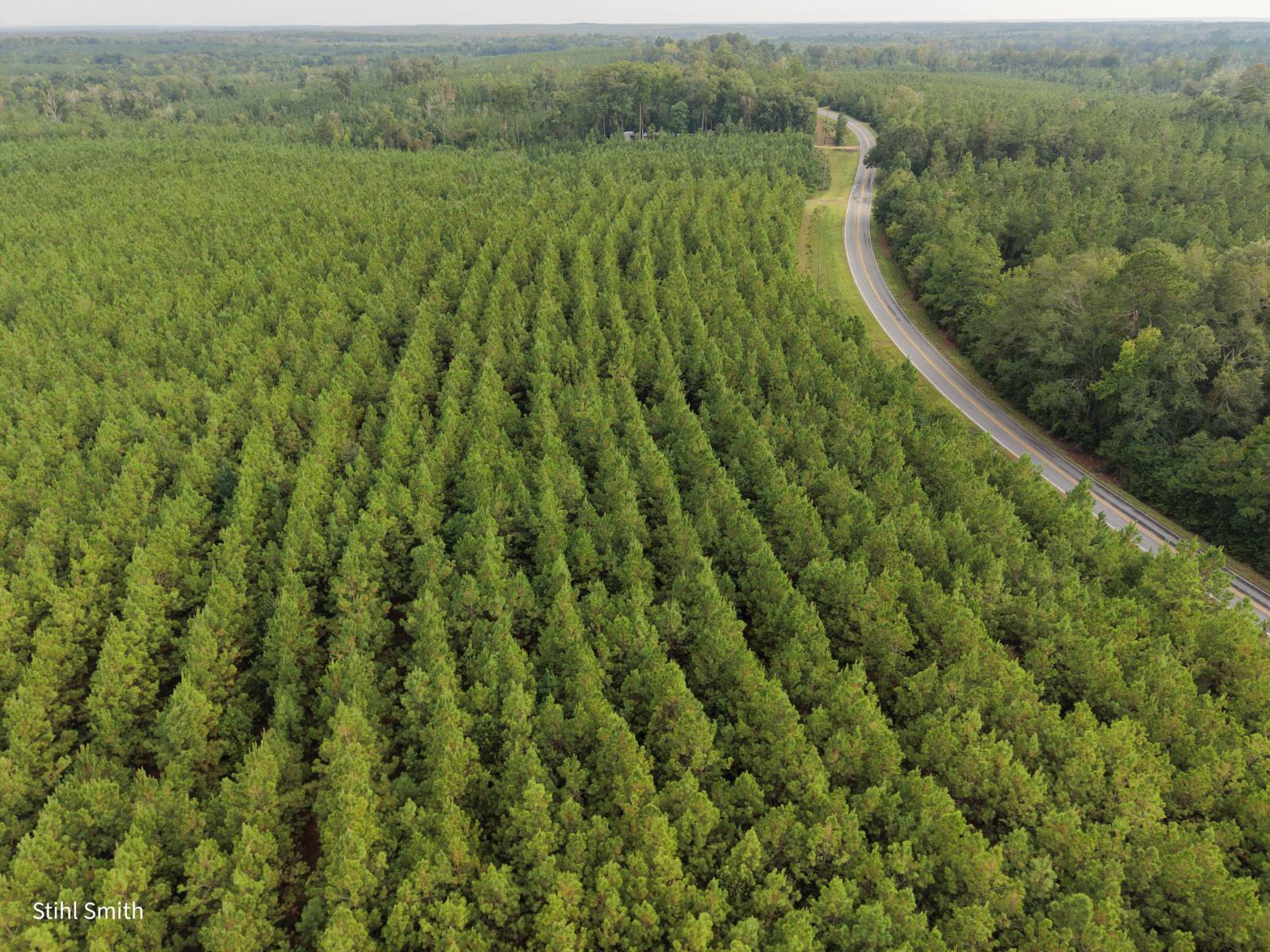 Photo 3 of 10 of land for sale at 000 T.B.D., Sikes, LA 71473